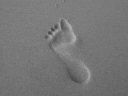 footprint, April 2009